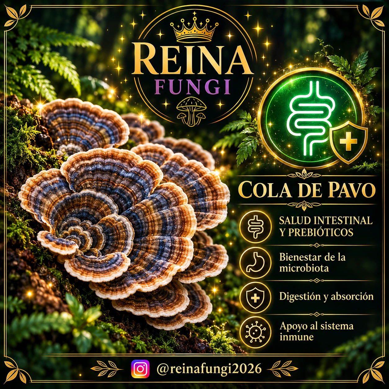 Lámina de divulgación de Reina Fungi sobre cola; leer el contexto médico debajo