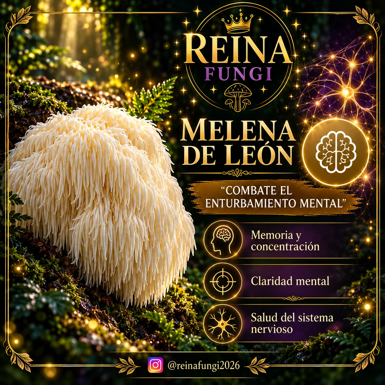 Lámina de divulgación de Reina Fungi sobre melena; leer el contexto médico debajo